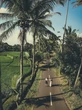 Mitologi di Taman Beji Griya Waterfall, Destinasi Wisata dan Pusat Spiritual di Bali