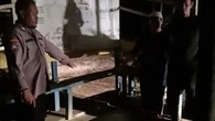 Sekeluarga Tersambar Petir Gara-Gara Senter Ponsel, Sang Ibu Tewas