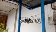 Mau Bikin Duplikat Kunci Motor? Tunjukkan STNK Dulu