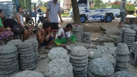 Cara Membersihkan Cobek dengan Efektif dan Aman Menggunakan Nasi