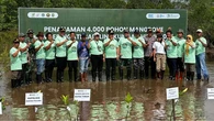 Ribuan Mangrove Ditanam di Teluk Lingga, Ekosistem Pesisir Dipulihkan dengan AI