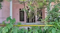 Bau Menyengat dari Belakang Rumah di Indramayu, Lima Jenazah Terkubur Dalam Satu Liang Lah...