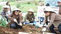 Kurangi Pupuk Kimia, Geo Dipa Inovasi Pupuk Mineral Panas Bumi buat Petani Dieng