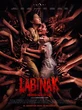 Daftar Pemain Film Labinak Dari Raihaanun Hingga Arifin Putra, Apes Guru Honorer Jadi Tumb...