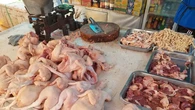Harga Ayam Naik di Pasar Anyar Bogor, Ini Penyebabnya