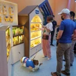 Kilas Balik Keseruan Dog Funtasy Expo di PIK Avenue