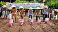 Tanam Jagung Tumpangsari di Lahan Perhutani Pemalang, Dukung Program Ketahanan Pangan