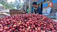 Gelisah Langkah Petani Kopi Hadapi Krisis Iklim di Depan Mata