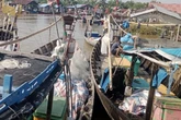 Dihantam Angin Kencang dan Kelangkaan Solar, Nelayan di Serdang Bedagai Menjerit
