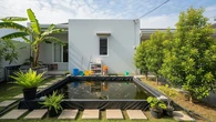 7 Ide Budidaya Ikan Lele di Kolam Terpal Mini untuk Belakang Rumah Type 36 agar Makin Fung...