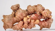7 Rebusan Tanaman Herbal untuk Sembuhkan Gerd, Mudah Dibuat dan Dijamin Ampuh