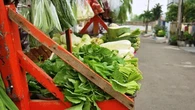Berapa Modal Usaha Jualan Sayur Keliling? Ini 7 Strategi Penting agar Cepat Balik Modal