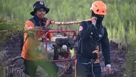 Berstatus Siaga, Ini Sebaran Lokasi Karhutla di Palangka Raya