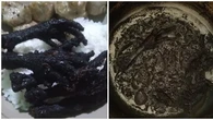 6 Momen Apes Masak Ceker Sampai Gosong Ini Bikin Elus Dada