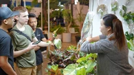 FLOII Expo 2025, Jelajah Pameran Tanaman Hias Sambil Nikmati Instalasi Musik Interaktif