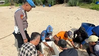 Penemuan Sarang di Wediombo Perkuat Status Gunungkidul sebagai Habitat Penyu di Samudera H...