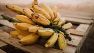 Resep Olahan Pisang yang Sehat, Ada Smoothies hingga Banana Bread