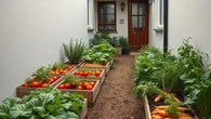 5 Tanaman yang Bisa Melindungi Kebun Sayur dari Hama, Ketahui Pula Cara Mengatasinya