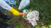Hutan di Kupang NTT Diduga Jadi Tempat Buang Bayi