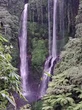 Pesona Air Terjun Sekumpul Bali, Surga Tersembunyi di Utara Pulau Dewata