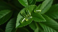 Percepatan Pengembangan Obat Bahan Alam Perlu Kolaborasi dengan Industri, Pakar Ungkap Ala...