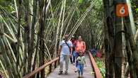 Menyusuri Jembatan Instagramable saat Berlibur ke Hutan Bambu Abad ke-13