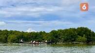 Harta Karun Warga di Langkat Sumut dari Merawat Hutan Mangrove, Bisa Produksi Gula Nipah h...