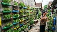7 Cara Membuat Taman Mini dari Botol Bekas, Solusi Kreatif untuk Lahan Sempit