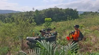 Hari Ketiga Pencarian Helikopter di Hutan Kalimantan, Cuaca Buruk Hambat Operasi SAR