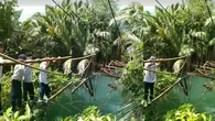Viral Pelajar SMP di Tanggamus Lampung Bertaruh Nyawa Sebrangi Jembatan Rusak Demi Berangk...