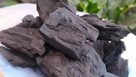 Panduan Praktis Membuat Arang Kayu dengan Peralatan Sederhana