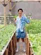 Penyanyi Han Chandra Sulap Lahan Bekas Penampungan Barang Tak Terpakai Jadi Kebun Sayur
