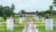 Banyuwangi Kembangkan Beras Bernutrisi "Biofortifikasi" Ramah Lingkungan