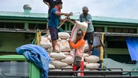 Harga Beras SPHP Lebih Murah dari HET Beras medium