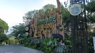 Viral Kabar Macan Tutul di Lembang Park Zoo Kabur, Polisi Langsung Turun Tangan
