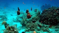 Pulau Rubiah, Saksi Bisu Pusat Karantina Haji Pertama di Indonesia