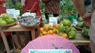 Asa Memulihkan Jutaan Hektare Lahan Kritis Lewat Semarak Pasar RHL 2025