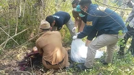 Geger Temuan Kerangka Manusia Berambut Panjang di Sukabumi