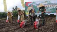 Kolaborasi Tanam Jagung Serentak di Pemalang, Dukung Swasembada Pangan