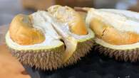 6 Manfaat Durian untuk Kesehatan, Mengatur Tekanan Darah hingga Atasi Insomnia