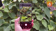 Daftar Fitur AI Tersembunyi di Xiaomi 14, Bisa Bikin Foto Makin Estetik