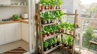 7 Inspirasi Kebun Dapur Mini untuk Rumah Kecil ala Urban Farming Modern