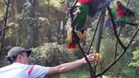 Viral Bayi Orang Utan di Bandung Zoo Disebut Telantar, Manajemen Bongkar Fakta Sebenarnya
