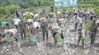 Mangrove Festival 2025 Dibuka di TN Alas Purwo, 41 Ribu Hektare Hutan Mangrove yang Rusak ...