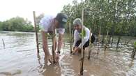 Mangrove Project - Untuk Satu Bumi 2024 Digelar di 5 Provinsi, Populerkan Investasi pada U...