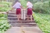 Viral Murid SD Nias Selatan Angkut Tumpukan Ompreng MBG Lewati Jalan Curam