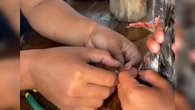 Momen Panik Warga Minta Tolong Damkar Burung Peliharaan Terjepit Cincin