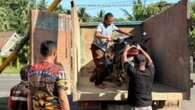 Arena Sabung di Lampung Selatan Digerebek: Pelaku Kabur, Polisi Hanya Sita 2 Ekor Ayam