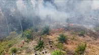 1000 Hektare Lahan Terbakar dalam 24 Jam di Riau, 29 Tersangka Pembakaran Ditangkap