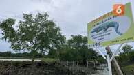 Kurikulum Mangrove Mulai Diajarkan ke Siswa SMA di Sumatera Utara, Berharap Berlaku Secara...